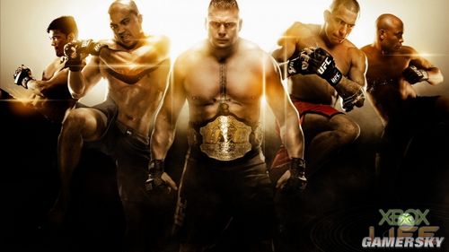 X360《UFC终极格斗冠军赛2010》图文攻略 _