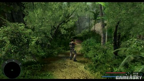《孤岛惊魂2010》首段实际游戏演示视频