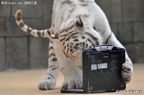 游民星空_