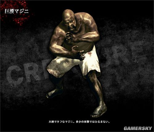 小說中的服裝時尚（小說中的服裝時尚女裝）