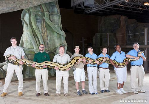 2012版吉尼斯世界纪录出炉30项世界之最让你傻眼