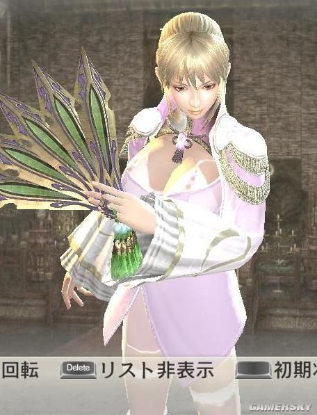 《真三国无双6:猛将传》粉色性感王元姬mod