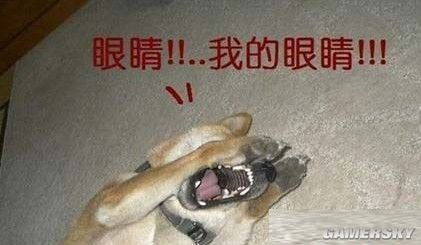 游民星空_