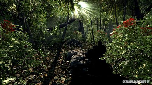Xbox720/PS4将支持DX11技术 发展设计趋于PC化