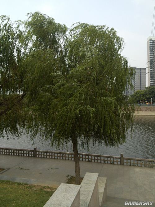 游民星空_