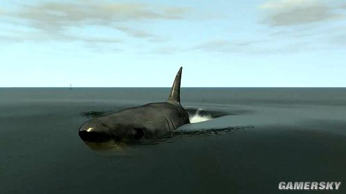 《GTA4》惊现大白鲨 会有不幸的美女吗? _ 