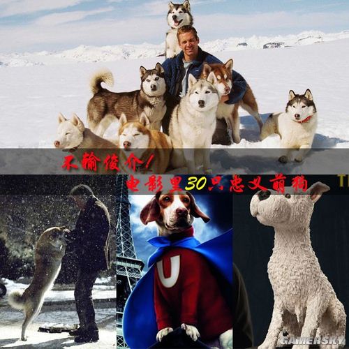 游民星空_