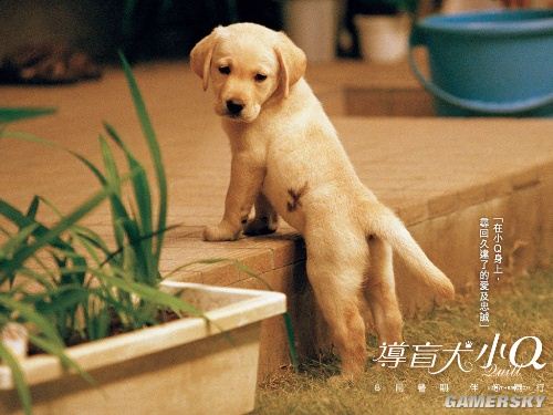 游民星空_