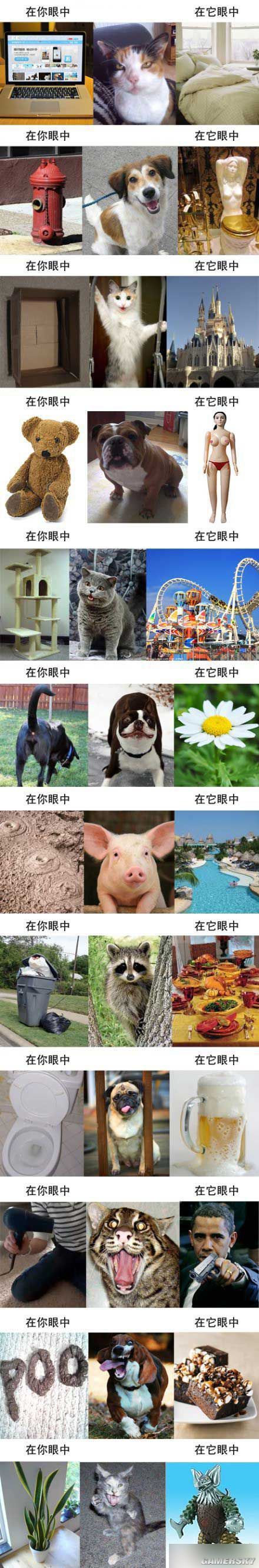 游民星空_