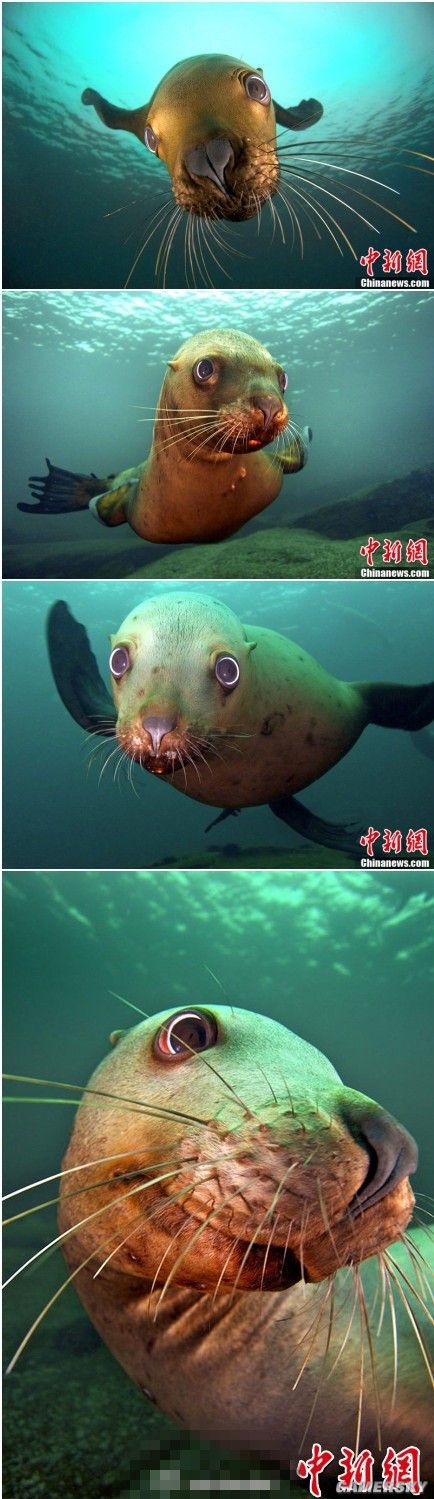 游民星空_