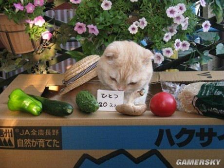 游民星空_