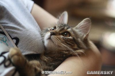 游民星空_