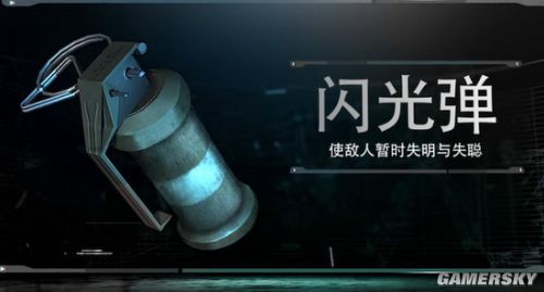 《使命召唤OL》开发者日志21:闪光弹介绍 使命召唤OL粉丝站_141特遣队