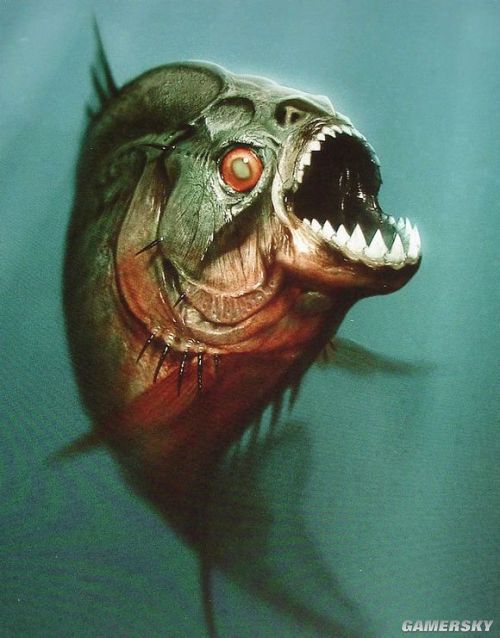 巨鱼怪兽图片图片