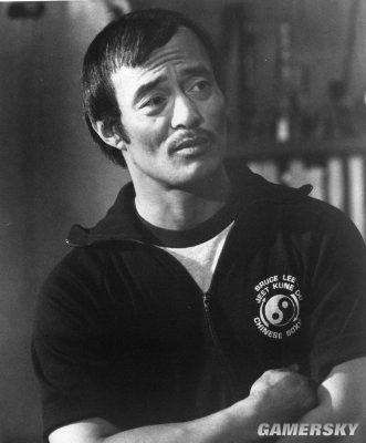 丹尼·伊诺山度(dan inosanto)是美籍菲律宾人,他是全面继承李小龙学