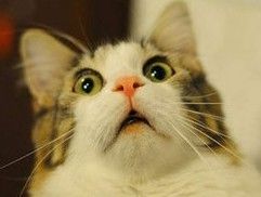 創意時尚服裝改造（創意服裝裝飾）