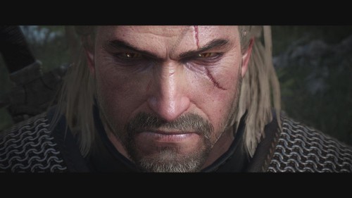 《巫师3:狂烈(The Witcher 3: Wild Hunt)》1080