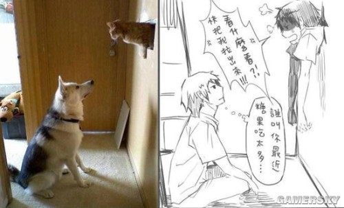 游民星空