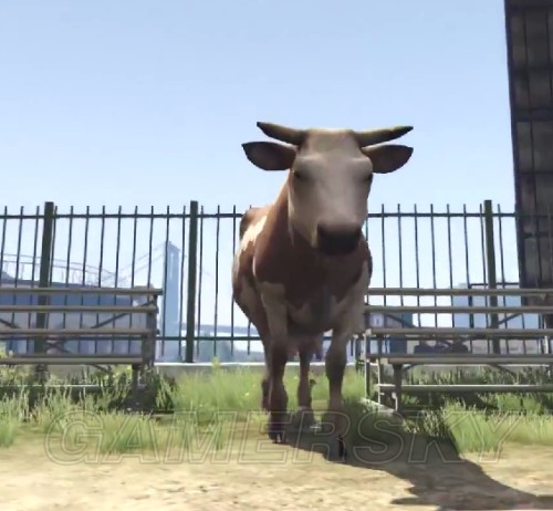 侠盗猎车手5（GTA5） 可变身动物展示及变身位置图文一览