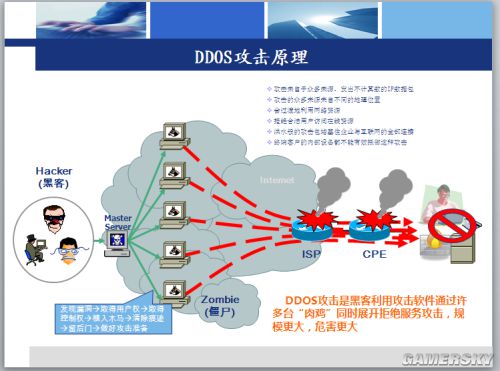 设置单个程序代理ip