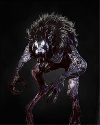 《巫师3》怪物弱点 全怪物弱点图鉴一览