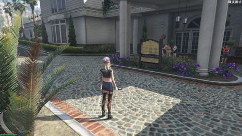 gta5导演模式哪些角色可以穿丝袜 导演模式可穿丝袜女角色大全