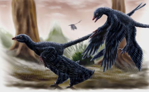 性食性:肉食性时间:白垩纪早期种类:microraptor gnarilongus常用名