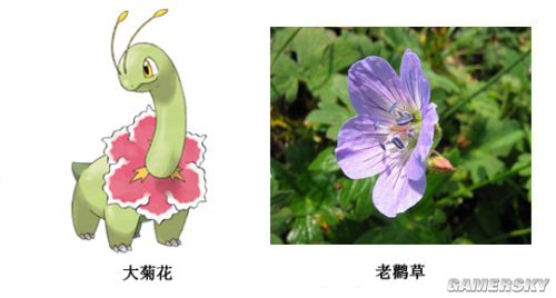 口袋妖怪御三家原型大考据