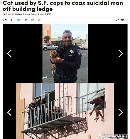 Cat used by S.F. cops to coax suicidal man off building ledge