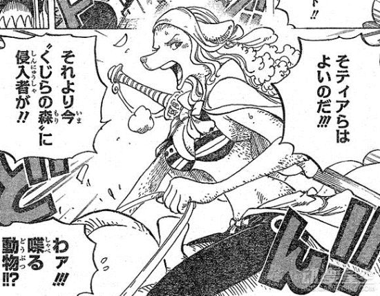 《海贼王》漫画第804话先行图 娜美变成水貂族？海报