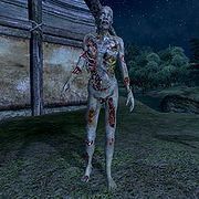 《上古卷轴》系列怪物与生物图鉴一览 上古卷轴5怪物图鉴_zombie(僵尸