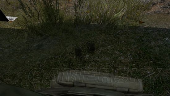 《DayZ》三十个有趣小细节 dayz搞笑截图一览