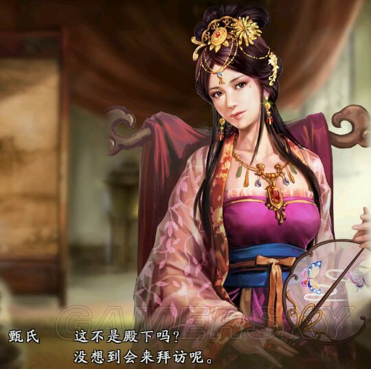 三国志13董卓义子秦仁一统三国战报文艺小说向图文战报