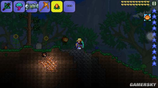 泰拉瑞亚手机版宠物获取攻略