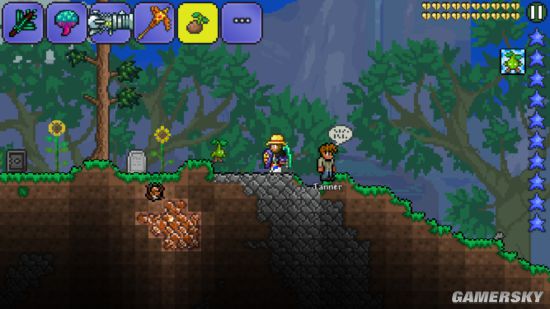 泰拉瑞亚手机版宠物获取攻略