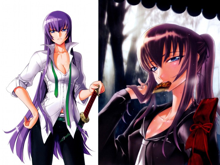 毒島冴子,Saeko Busujima,毒岛冴子,Busujima Saeko,学園黙示録,Highschool of the Dead,学园默示录,學園默示錄,校园默示录,僵尸高校,千金