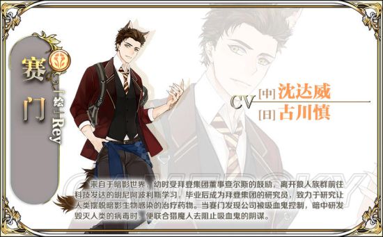 王与异界骑士角色图鉴