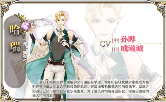 王与异界骑士角色图鉴