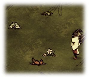 威尔逊百天生存新手图文攻略 饥荒威尔逊攻略《饥荒》