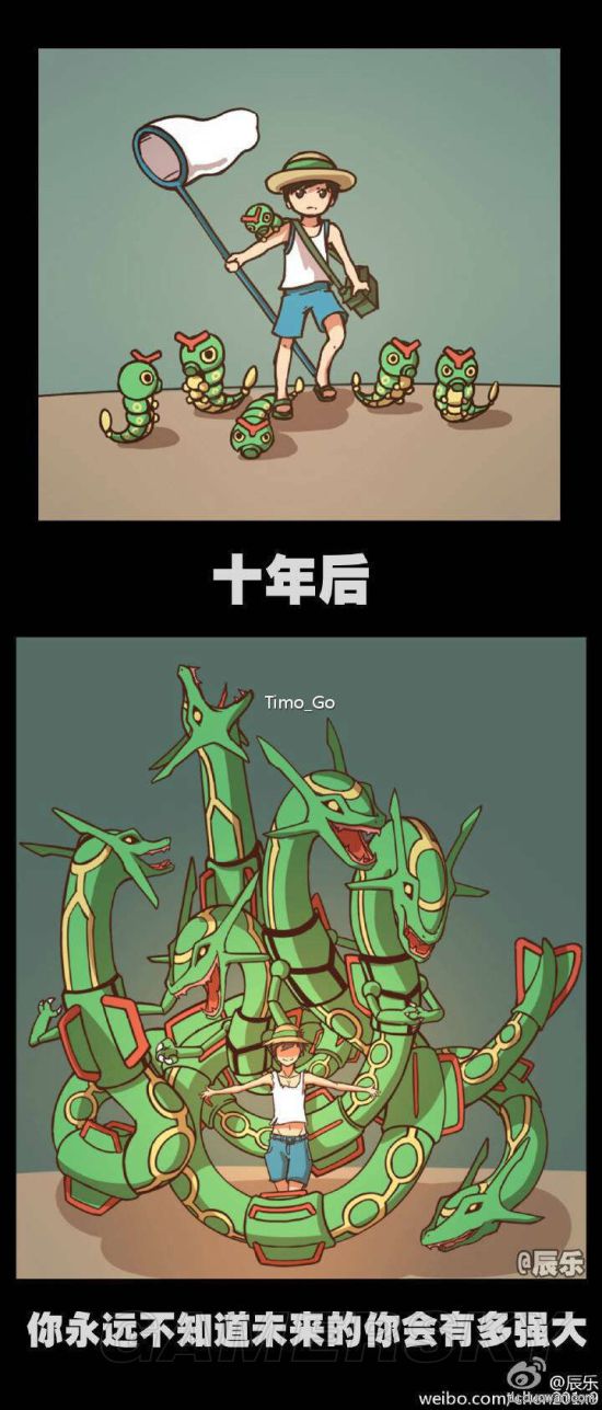 绿毛虫进化顺序图图片