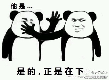 表情前线超少女老虎汇总日大象包表情图片魔性图片