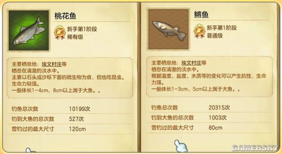 冒险岛2钓鱼攻略大全