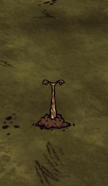 《饥荒》联机版基础资源详细图文说明 草、树