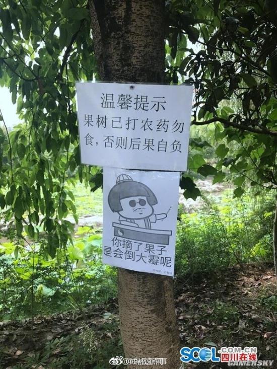 挂标语:谁摘果子谁挂科】四川爱华学院有几十亩果园,最近,为防学生偷