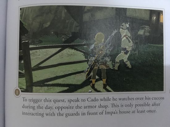 《塞尔达传说荒野之息》支线任务中文攻略 官方支线任务攻略翻译