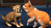 GC：《模拟人生4》猫狗DLC公布 登陆PS4和XB1