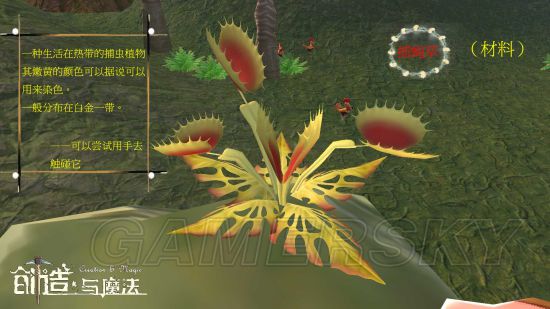 创造与魔法全植物图鉴一览 作物大全