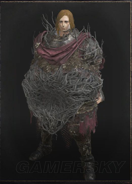 (该套装只包括3件套,并没有头部部件)哈兰德骑士所在区域:聚集地,环印