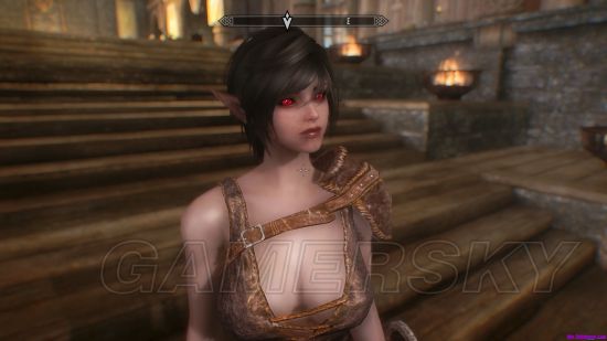 《上古卷轴5》mod合集 美女随从与武器服装mod合集