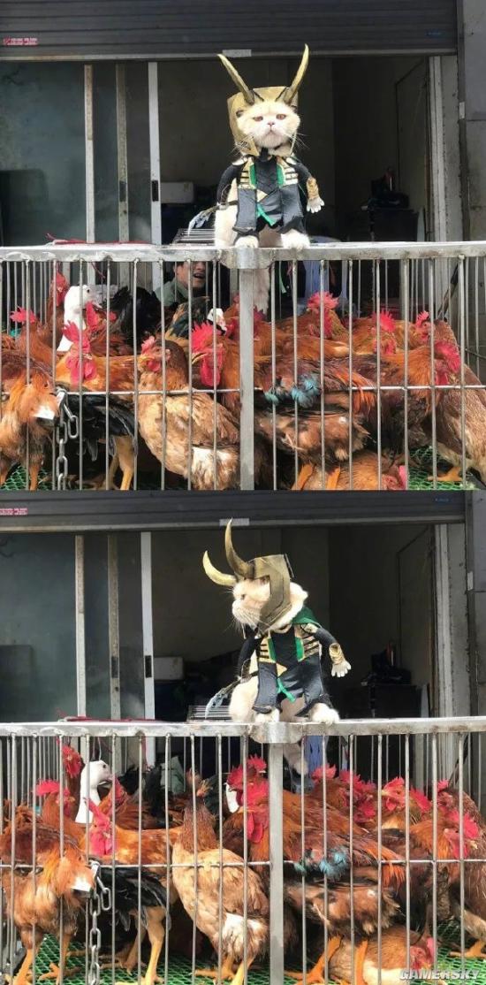 游民星空